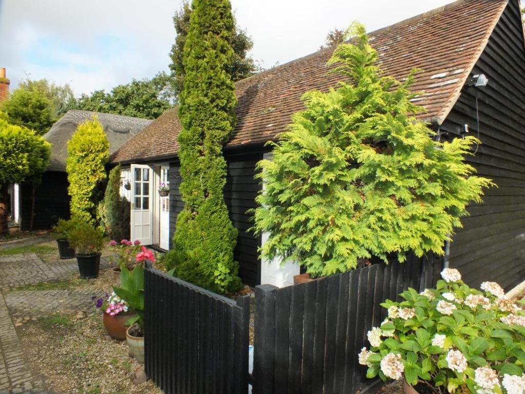 Bed and Breakfast Abingplough House Abingdon-on-Thames Exterior foto